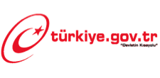 E - Devlet